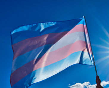 image of the transgender flag against the light blowing in the wind with blue sky in the background