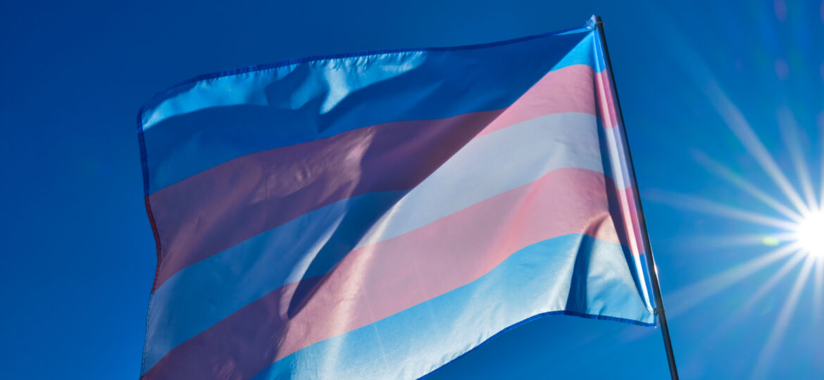 transgender flag in the wind